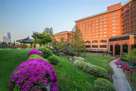 Dragon hill lodge - Dragon Hill Lodge: One night in Yongsan... - See 236 traveler reviews, 149 candid photos, and great deals for Dragon Hill Lodge at Tripadvisor.